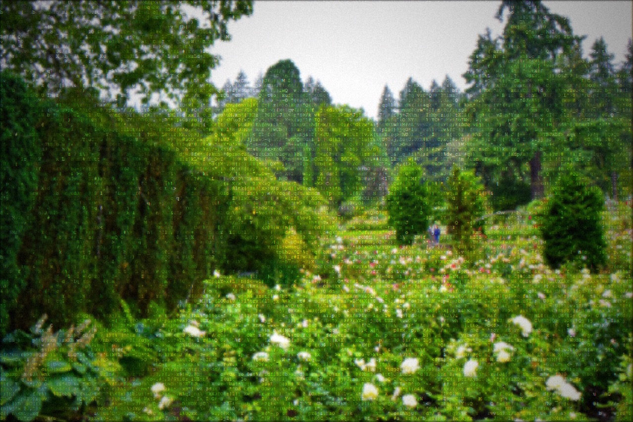 Washington Park rose garden rendered in ASCII